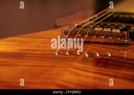 Elektrische Gitarrenbrücke, Saiten und Pick-up-Detail aus nächster Nähe Stockfoto