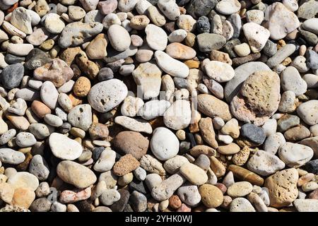 Kieselsteine am Strand, glatte Strandsteine, Küstensteine, Strandsteinmuster, bunte Kieselsteine, Kieselküsten, Steine am Meer, Kieselsteinen Stockfoto