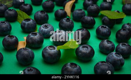 Einzelne Heidelbeeren auf grünem Hintergrund sind mit entsprechendem Abstand zueinander in Linien angeordnet Stockfoto