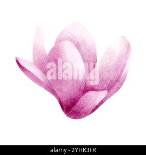 Rosa Magnolienblume Aquarell isolierte Illustration. Handgezeichnete, realistische Blume für Blumendesign und -Druck. Stockfoto