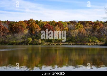 Das ruhige Wasser spiegelt die leuchtenden Farben der herbstlichen Bäume am Ufer wider, während sich ein klarer blauer Himmel darüber erstreckt. Die Mischung aus Rot, Orange, Gelb und Stockfoto