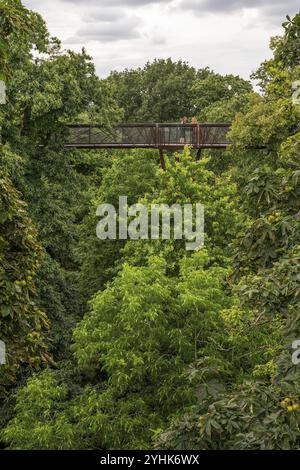 Besucher auf dem Baumwipfel Walkway, Stahlkonstruktion, Royal Botanic Gardens (Kew Gardens), UNESCO-Weltkulturerbe, Kew, Greater London, England, Unite Stockfoto