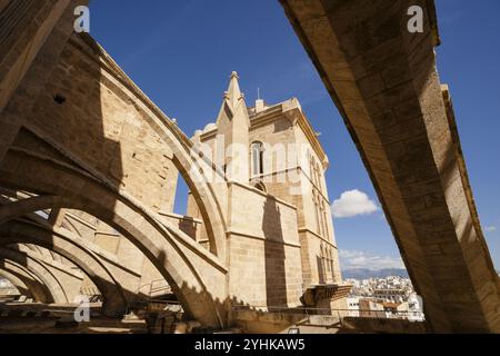 Pinaculos, Catedral de Mallorca, siglo XIII, Monumento Historico-Artistico, Palma, mallorca, Islas baleares, espana, Europa Stockfoto