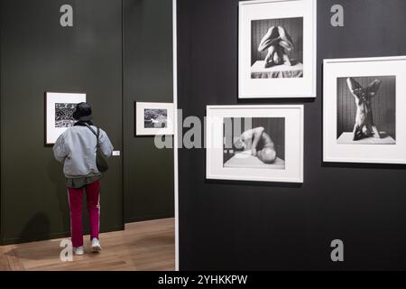 Paris, Frankreich. November 2024. Olivier Donnars/Le Pictorium - 27. Paris Foto - 08/11/2024 - Frankreich/Paris - 27. Ausgabe von Paris Photo, der internationalen Kunstmesse für alte und zeitgenössische Fototaphie im Grand Palais in Paris. Quelle: LE PICTORIUM/Alamy Live News Stockfoto