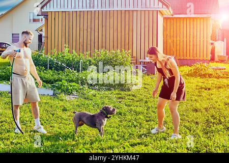 Ein junges europäisches Paar spielt mit einem amerikanischen Tyrannen-Hund im Hinterhof des Landhauses am Sommerabend. Stockfoto