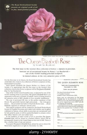 1981 The Royal Horticultural Society Ad - The Queen Elizabeth Rose von Ronald Van Ruyckevelt. Eine rosafarbene Grandiflora-Rosensorte, die in den USA gezüchtet wurde Stockfoto