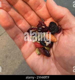 Eine Nahaufnahme einer Hand, die eine Mischung aus gesunden Trail-Mix-Zutaten hält, einschließlich Mandeln, getrockneten Preiselbeeren, Kürbiskernen und Rosinen. Ein perfekter Snack. Stockfoto