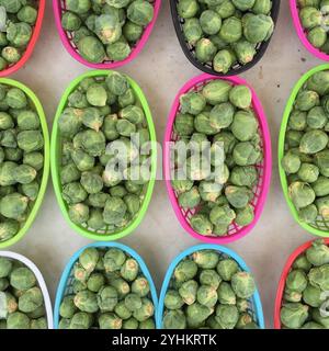 Körbe mit frischem Rosenkohl in bunten Behältern auf einem Markt. Das hellgrüne Gemüse und die leuchtenden Korbfarben sorgen für Harmonie. Stockfoto