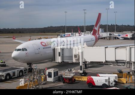 02.11.2024, Melbourne, Victoria, Australien - ein Airbus A330-200 Passagierflugzeug der australischen Fluggesellschaft Qantas Airways mit der Registrierung VH-EBL und dem Sonderschriftzug Pride befindet sich im Flugparkt an einem Gate auf dem Vorfeld des internationalen Flughafens Melbourne Tullamarine. Qantas ist Mitglied der oneworld Airline-Allianz. *** 02 11 2024, Melbourne, Victoria, Australien ein Passagierflugzeug des Typs Airbus A330 200 der australischen Fluggesellschaft Qantas Airways mit der Zulassung VH EBL und der Sonderschrift Pride is in the Air parkt an einem Gate auf dem Vorfeld von Melbourne Tullam Stockfoto