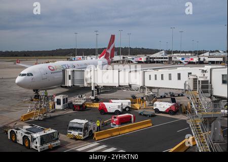 02.11.2024, Melbourne, Victoria, Australien - ein Airbus A330-200 Passagierflugzeug der australischen Fluggesellschaft Qantas Airways mit der Registrierung VH-EBL und dem Sonderschriftzug Pride befindet sich im Flugparkt an einem Gate auf dem Vorfeld des internationalen Flughafens Melbourne Tullamarine. Qantas ist Mitglied der oneworld Airline-Allianz. *** 02 11 2024, Melbourne, Victoria, Australien ein Passagierflugzeug des Typs Airbus A330 200 der australischen Fluggesellschaft Qantas Airways mit der Zulassung VH EBL und der Sonderschrift Pride is in the Air parkt an einem Gate auf dem Vorfeld von Melbourne Tullam Stockfoto