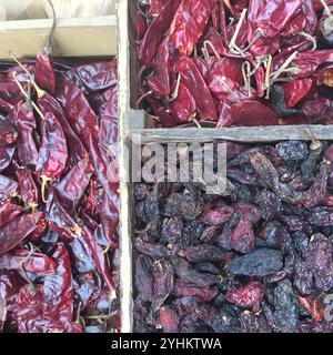 Auswahl an getrockneten roten und schwarzen Chilis in einer rustikalen Holzkiste. Die leuchtenden Rot- und Dunkeltöne betonen eine natürliche, organische Textur. Stockfoto