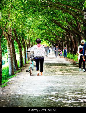 Von Bäumen gesäumter Pfad mit Fußgängern und Radfahrern in friedlicher Parklandschaft Stockfoto