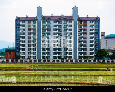 Apartmentgebäude mit Blick auf grüne Reisfelder in ländlicher Landschaft Stockfoto