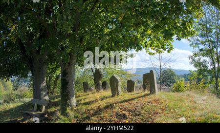 Ein alter Friedhof unter einer großen Eiche im Hintergrund, mystische Atmosphäre Stockfoto