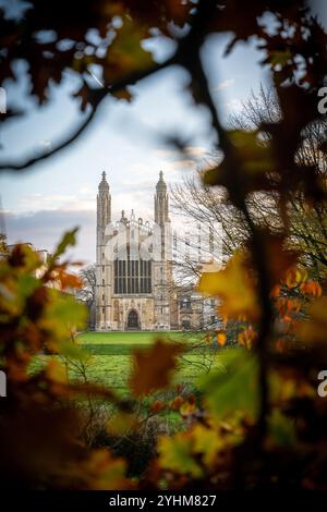 Cambridge, Großbritannien. November 2024. Die Kings College Chapel ist bei Sonnenschein am frühen Morgen von Herbstbäumen umgeben. Nach Tagen des düsteren Wetters kam die Sonne endlich zum Vorschein und unterstrich die saisonalen Farben. Quelle: Julian Eales/Alamy Live News Stockfoto