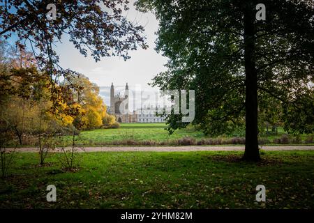 Cambridge, Großbritannien. November 2024. Die Kings College Chapel ist bei Sonnenschein am frühen Morgen von Herbstbäumen umgeben. Nach Tagen des düsteren Wetters kam die Sonne endlich zum Vorschein und unterstrich die saisonalen Farben. Quelle: Julian Eales/Alamy Live News Stockfoto