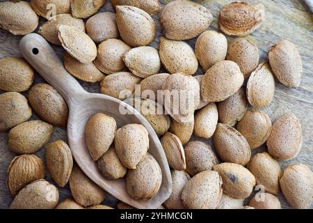 Mandeln, Mandelmilch, Mandelbutter, Rohe Mandeln, Mandeln, glutenfreie Diät, milchfrei, pflanzenbasiert Stockfoto