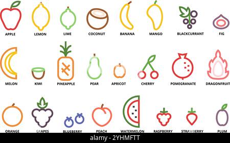 Minimalistische lineare Früchte und Beeren. Ikonen aus frischem Obst für gesunde Lebensmittel, natürliche Desserts und Lebensmittelladen. Einfacher geometrischer Konturvektor Stock Vektor