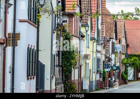 Straße mit traditionellen Fachwerkhäusern im Dorf Heuchelheim (Rheinland-Pfalz), Süddeutschland. Stockfoto