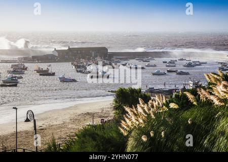 Am frühen Morgen auf den Hafen von Lyme Regis in Dorset, Großbritannien. Stockfoto