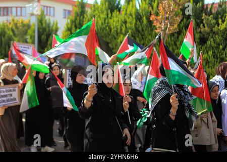 Gaziantep, Turkiye. Oktober 2024. Mehrere palästinensische Flaggen werden während eines Protestes von Studenten der Gaziantep Universität für Islamische Wissenschaften und Technologie geweht, um an das einjährige Zeichen des israelischen Krieges im Gazastreifen zu erinnern. Der Krieg wurde von israelischen Truppen am selben Tag des Al-Aqsa-Hochwasserangriffs der Hamas am 7. Oktober 2023 in Israel eingeleitet. Die Studenten in der südtürkischen Stadt Gaziantep trugen Banner, die ein Ende des Krieges gegen Gaza und die israelische Besetzung Palästinas forderten, und forderten gleichzeitig den Boykott von Unternehmen, die Israel unterstützen Stockfoto