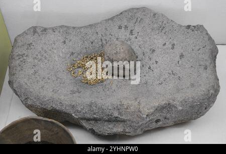 Vorgeschichte. Quernstein zum Mahlen von Getreidekörnern. Aus Egiertowo, Kreis Kartuzy, Woiwodschaft Pommern, Polen. Archäologisches Museum. Gdańsk, Polen. Stockfoto