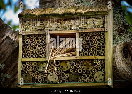 Bughotel, umweltfreundliche Konzepte Stockfoto