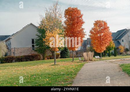 Zwei Bänke auf einer grünen Wiese unter Herbstahorn in einem kleinen Park an der Straße Stockfoto