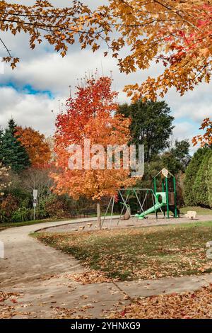 Ahornbäume werfen rote Blätter auf einem Kinderspielplatz Stockfoto