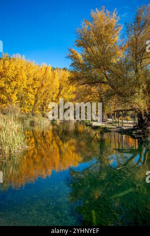 Vertical view of the reflection of the trees in autumn on the river, in the Enchanted Forest of Fig Trees in Pozo Alcon, Jaen, Andalucia, Spain Stockfoto