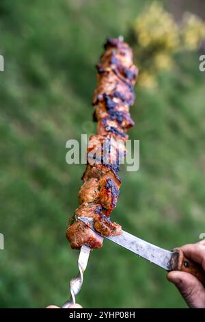 Schweinefleisch auf einem Spieß über einem Brazier braten. Appetitanregender Shish Debab. Köstliches Barbecue. Stockfoto