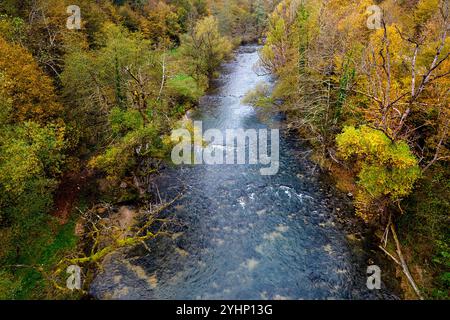 Wunderschöne Herbstfarben, Herbstlaub rund um den wilden Fluss krka in der Region dolenjska in slowenien, sauberer Fluss umgeben von einer wunderschönen ländlichen Landschaft Stockfoto