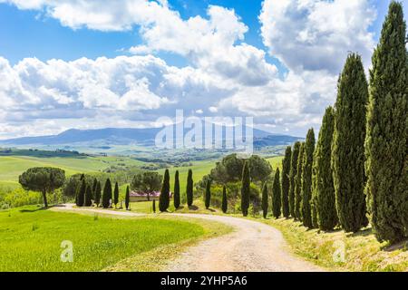 Zypressen an der gewundenen Schotterstraße in der Landschaft in der Nähe von Pienza, Italien Stockfoto