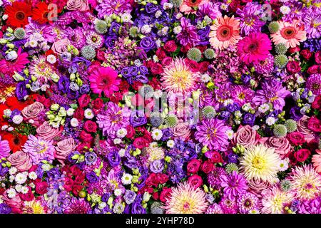 Gemischte natürliche frische rosa und lila Blumen Hintergrund von oben, festliche florale Hintergrund, dekorative Komposition, bunter Blumenstrauß, Blumenstrauß Stockfoto