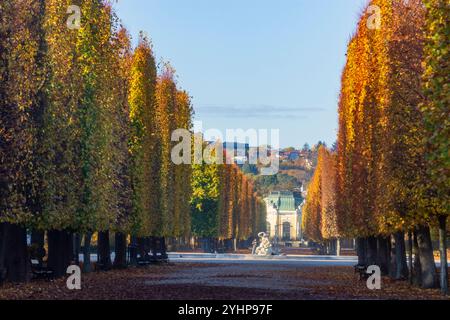 Wien: Kaiserpavillon im Zoo im Schloss Schönbrunn und Park, von Bäumen gesäumte Allee 13. Hietzing, Wien, Österreich Stockfoto