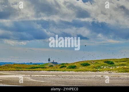 Sandhals Leuchtturm mit einem dramatischen Himmel mit mehreren fliegenden Vögeln Stockfoto