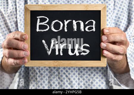 Bayern, Deutschland - 12. November 2024: Borna-Virus, kranker Patient im Patientenkleid mit Schild. Symbolisches Bild für Borna-Krankheit oder Krankheit - Virus und Krankheit, sowie Symptome. *** Bornavirus, Erkrankter Patient im Patientenkittel mit Schild. Symbolbild für Borna-Krankheit bzw. Erkrankung - Virus und Krankheit, sowie Symptome. Stockfoto