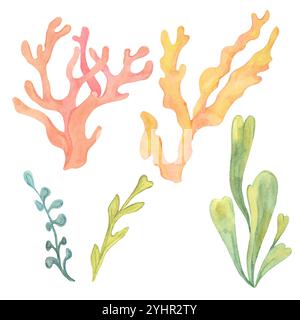 Sammlung von gelben und grünen Meeresalgen mit orangefarbenen und roten Korallen in verschiedenen Formen. Handgezeichnetes Algenclipart in Aquarellfarben für marineblaue Designs, die eine vielfältige Unterwasservegetation bieten Stockfoto