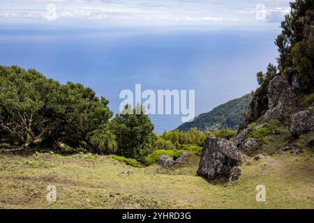 Erleben Sie die atemberaubende Aussicht auf das Meer vom Fanal-Wald Madeiras, umgeben von alten Lorbeerbäumen auf einem hohen Plateau. Stockfoto