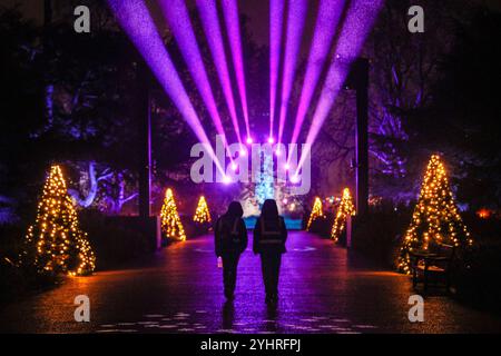 London, Großbritannien. November 2024. Die Angestellten von Kew laufen den hübschen "Snowflake Walk" hinunter. Der jährliche Christmas at Kew Illuminations and Light Trail at Kew Gardens kehrt zum 12. Jahr zurück und bietet Tausende von blendenden Lichtern, Klängen und faszinierenden Erlebnissen entlang des 3 km langen Weges. Es ist vom 13. November bis 5. Januar geöffnet. Quelle: Imageplotter/Alamy Live News Stockfoto