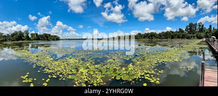 Neak Pean Tempel, gewidmet Shiva, Angkor, Siem Reap, Kambodscha Stockfoto