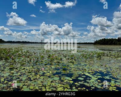 Neak Pean Tempel, gewidmet Shiva, Angkor, Siem Reap, Kambodscha Stockfoto