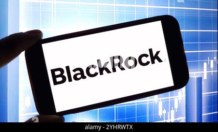 Konskie, Polen – 12. November 2024: Das Firmenlogo von BlackRock wird auf dem Mobiltelefon angezeigt Stockfoto