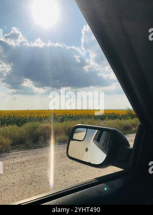 Sonnenlicht strahlt über ein riesiges Sonnenblumenfeld, das durch ein Autofenster gesehen wird, und hält eine ruhige und friedliche Reise unter einem hellblauen Himmel fest. Stockfoto