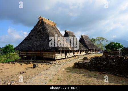 Wologai Traditional Village Tribal Houses of the Lio Tribe in Flores, Indonesien mit Reed Stockfoto