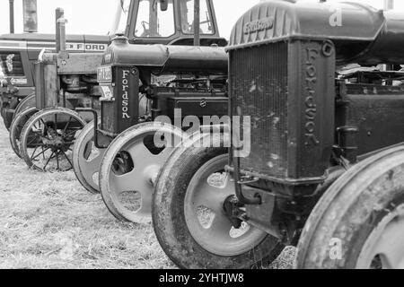 Low Ham.Somerset.Vereinigtes Königreich. 20. Juli 2024. Eine Reihe von Oldtimer-Traktoren, darunter ein Paar Standard Fordsons, ist auf der Somerset Steam and Co zu sehen Stockfoto