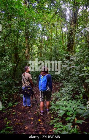 George of the Cloud Forest, Reiseleiter und Spezialist, führt eine junge Frau durch den Nebelwald von Monterey während der Fauna-Tour in Costa Rica Stockfoto