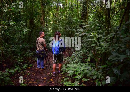 George of the Cloud Forest, Reiseleiter und Spezialist, führt eine junge Frau durch den Nebelwald von Monterey während der Fauna-Tour in Costa Rica Stockfoto