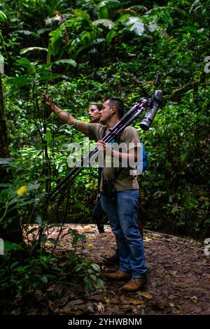 George of the Cloud Forest, Reiseleiter und Spezialist, führt eine junge Frau durch den Nebelwald von Monterey während der Fauna-Tour in Costa Rica Stockfoto