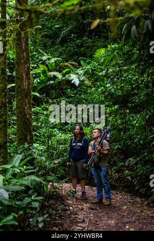 George of the Cloud Forest, Reiseleiter und Spezialist, führt eine junge Frau durch den Nebelwald von Monterey während der Fauna-Tour in Costa Rica Stockfoto